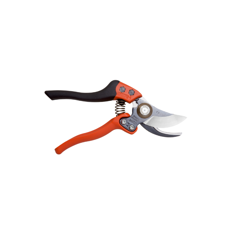 bpt_px_wo_c.png_normal.png