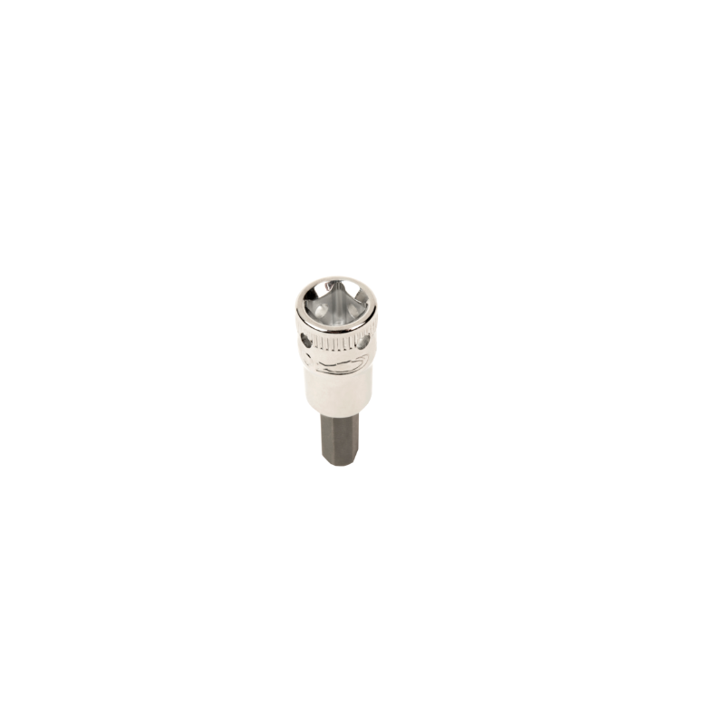 tah08-h6.png_normal.png