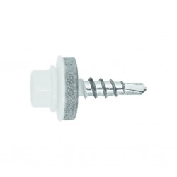 fs_ral_90101-1.tif_normal.png